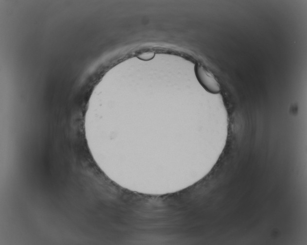 X0000115781495200912241800