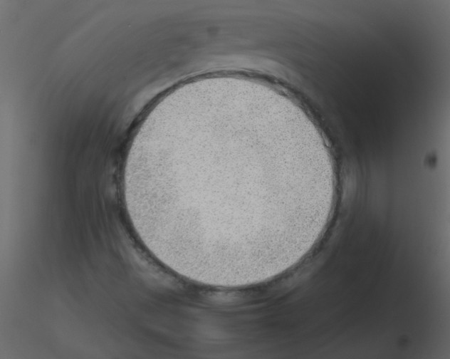 X0000115781497200912241800