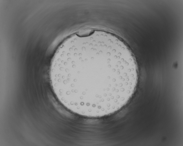 X0000115781499200912241800