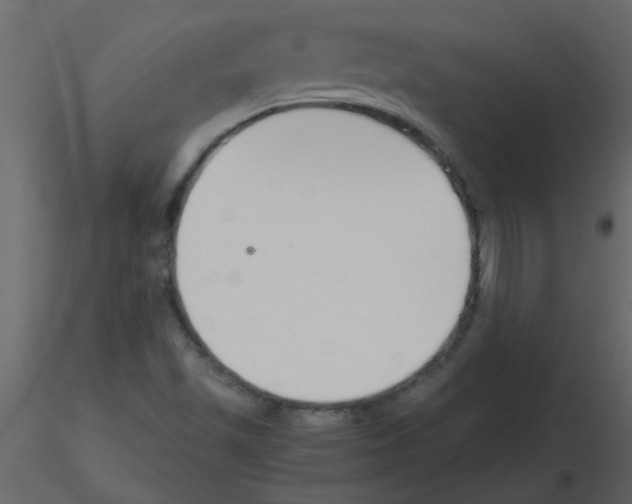 X0000115781501200912241800