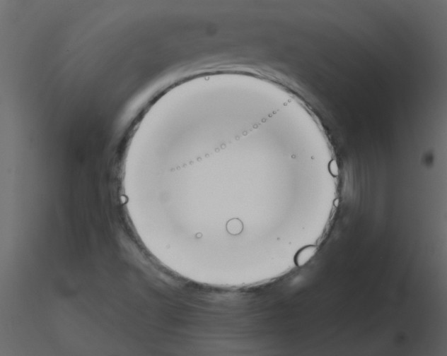 X0000115781502200912241800