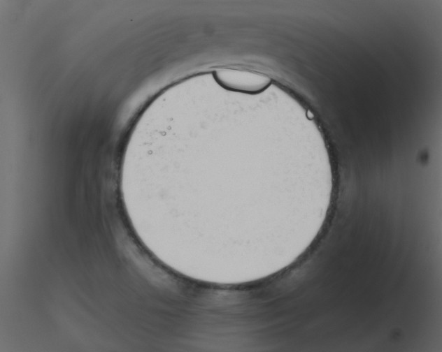 X0000115781506200912241800