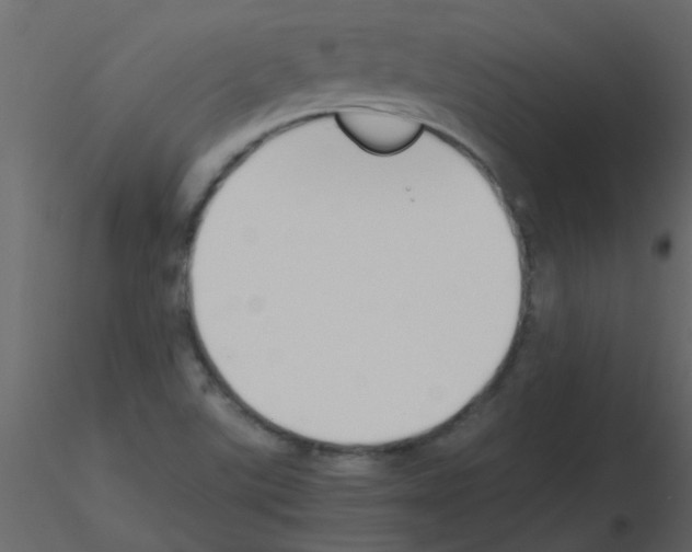 X0000115781507200912241800