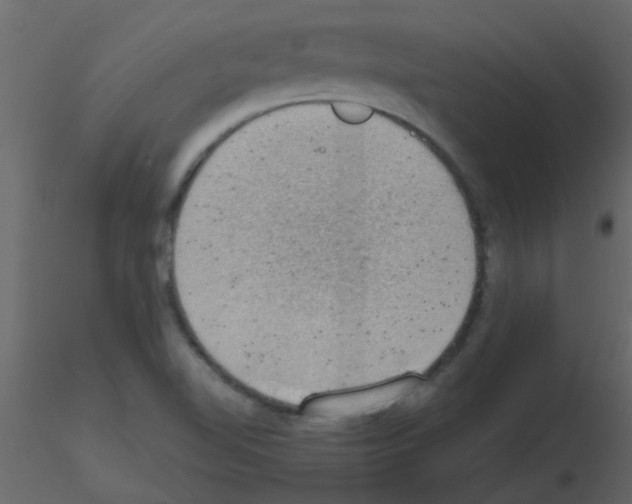 X0000115781510200912241800