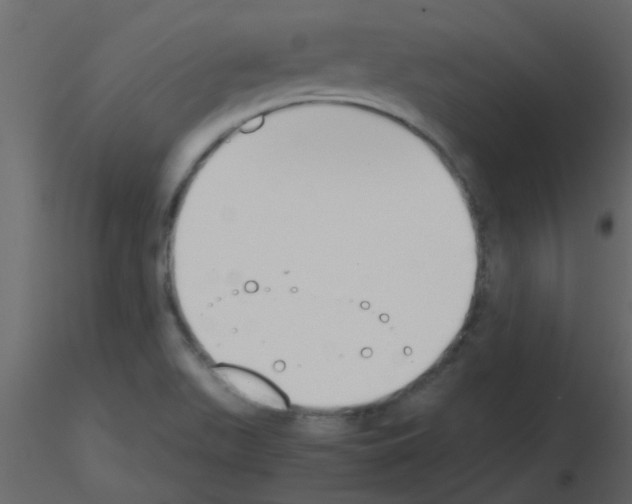 X0000115781511200912241800