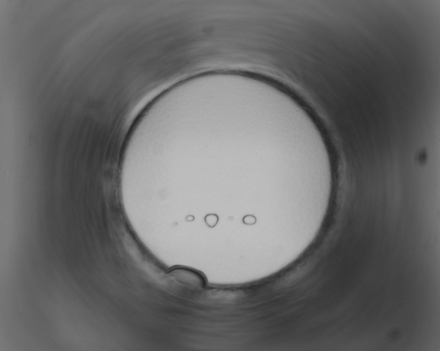 X0000115781513200912241800