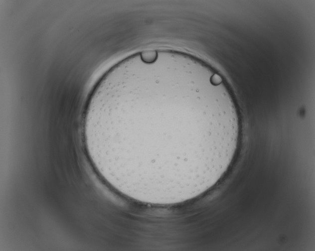 X0000115781517200912241800