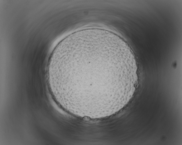 X0000115781519200912241800