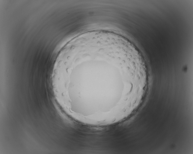 X0000115781521200912241800