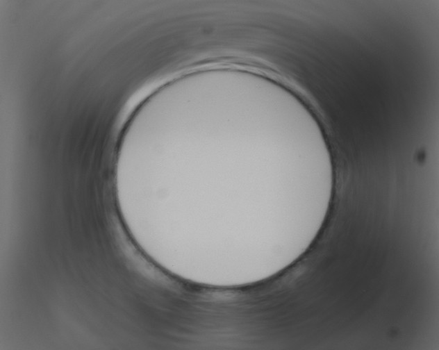 X0000115781522200912241800