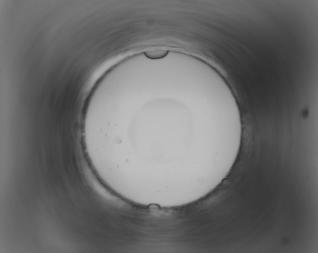 X0000115781523200912241800