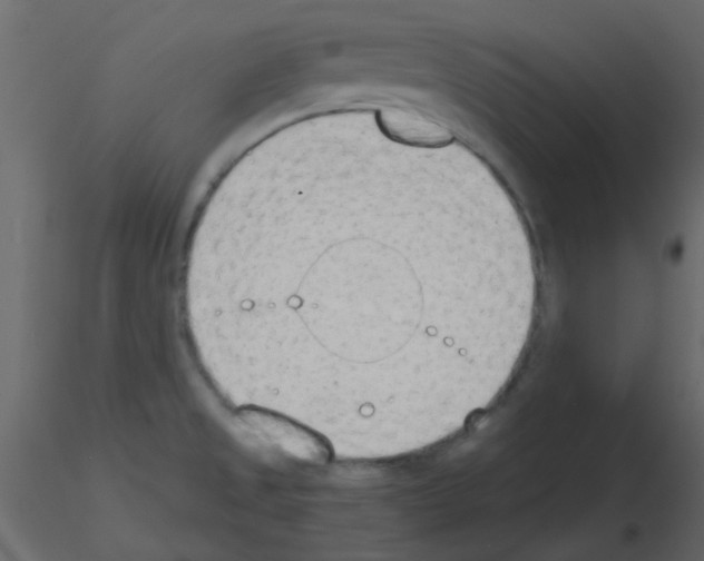 X0000115781525200912241800