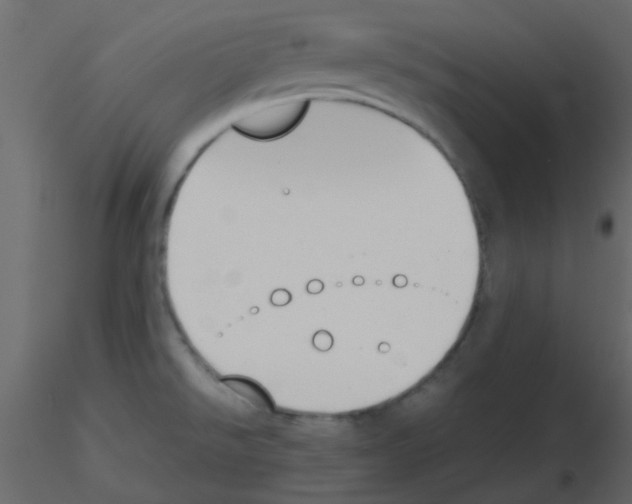 X0000115781526200912241800