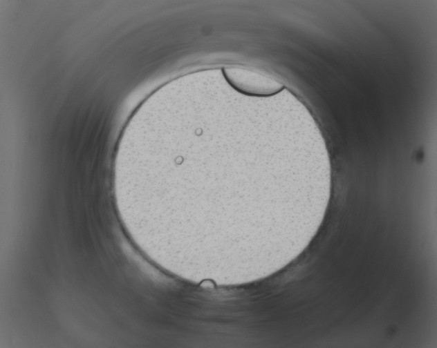 X0000115781527200912241800