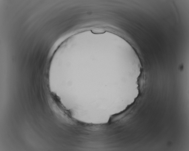 X0000115781530200912241800