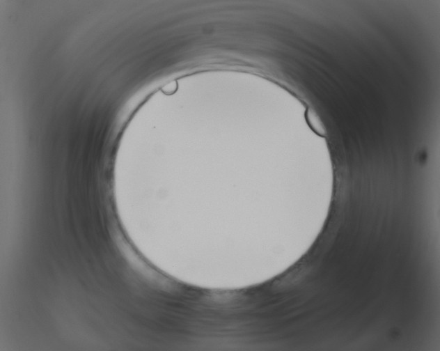 X0000115781531200912241800