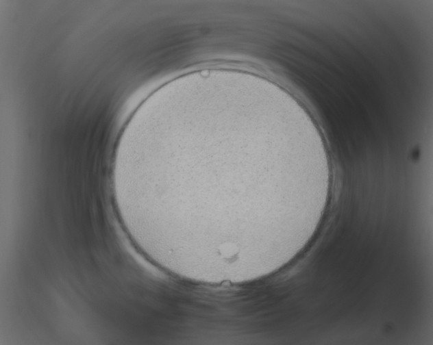 X0000115781533200912241800