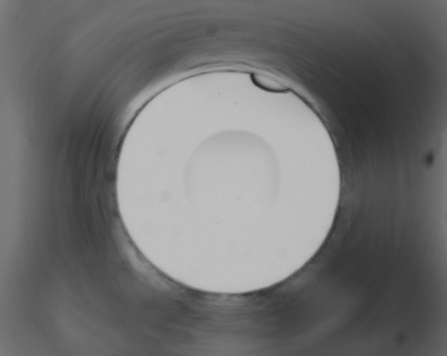 X0000115781534200912241800