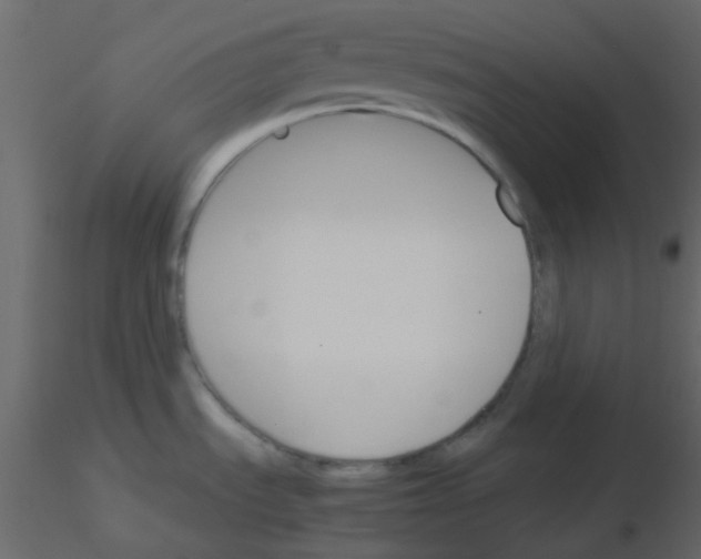 X0000115781535200912241800