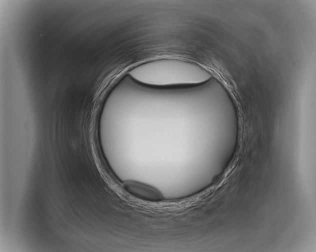 X0000115790001200911131036