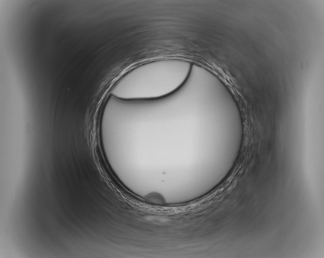 X0000115790002200911131036