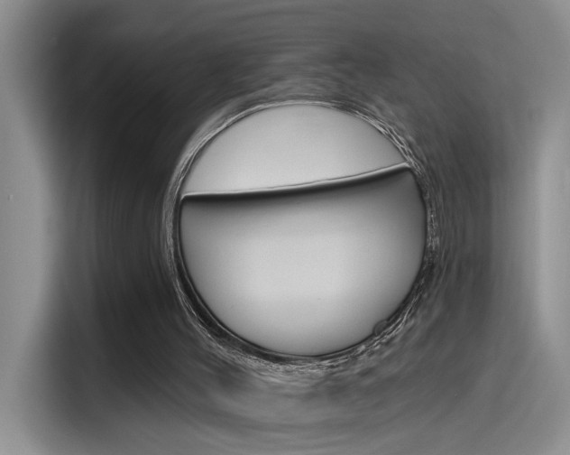X0000115790004200911131036
