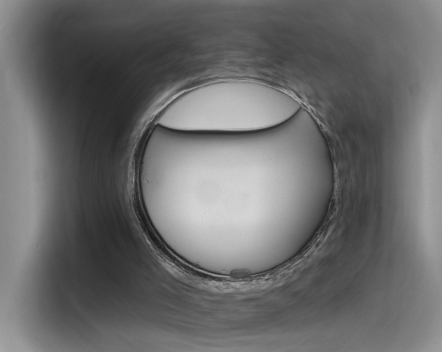 X0000115790005200911131036