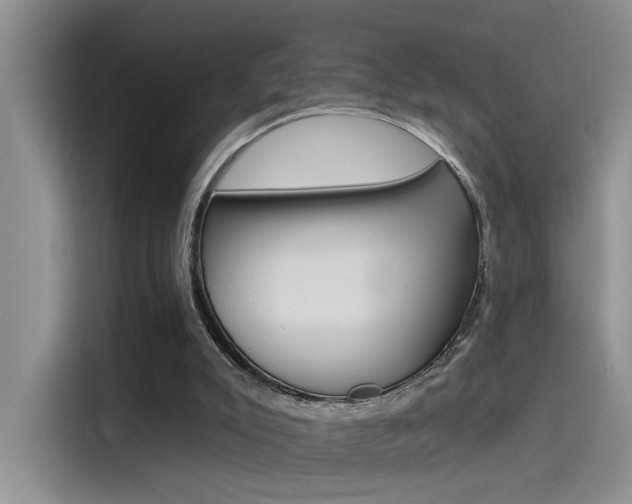 X0000115790007200911131036
