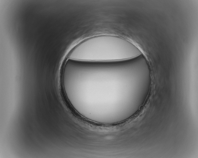 X0000115790008200911131035