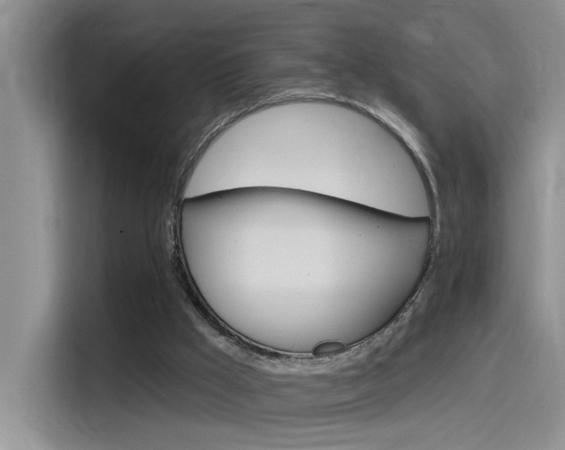 X0000115790009200911131035