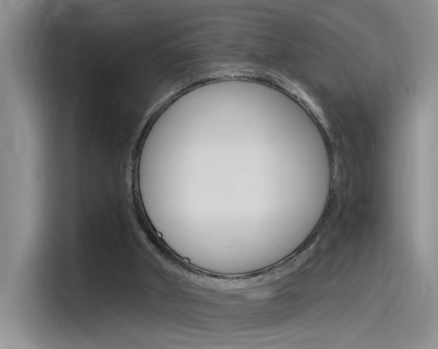 X0000115790010200911131035
