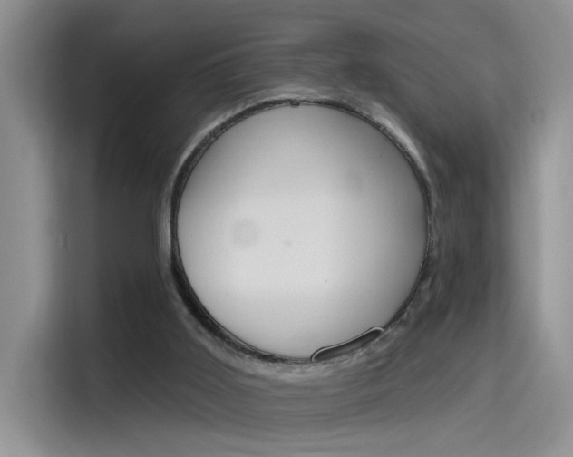 X0000115790011200911131035
