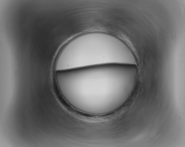 X0000115790012200911131035