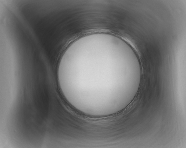 X0000115790013200911131035
