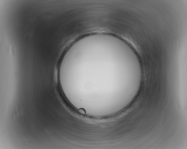 X0000115790014200911131035