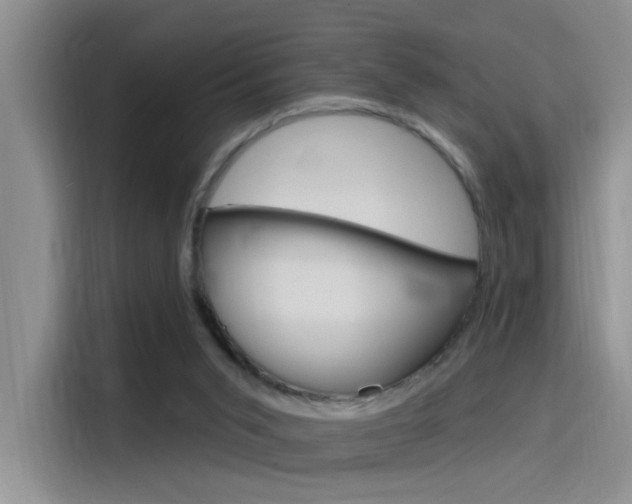 X0000115790015200911131035