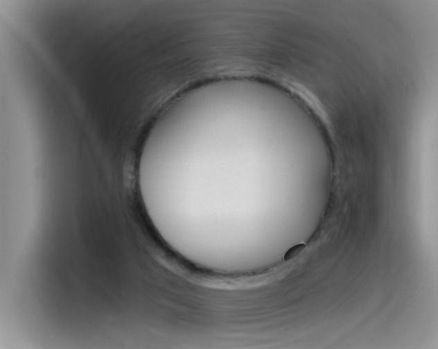 X0000115790017200911131035