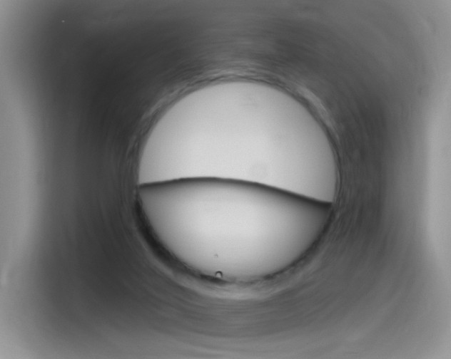 X0000115790020200911131035