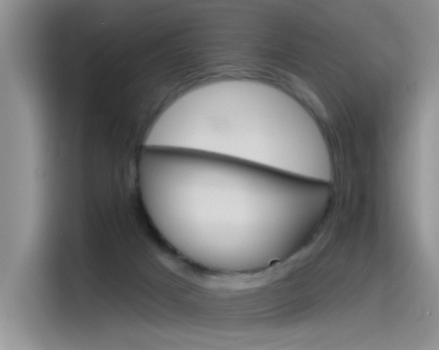 X0000115790025200911131035