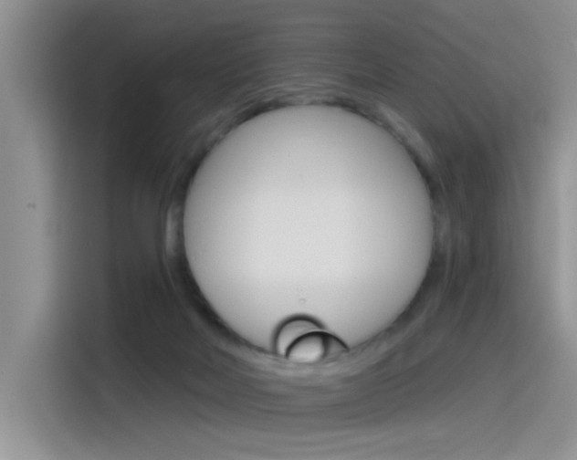 X0000115790026200911131035