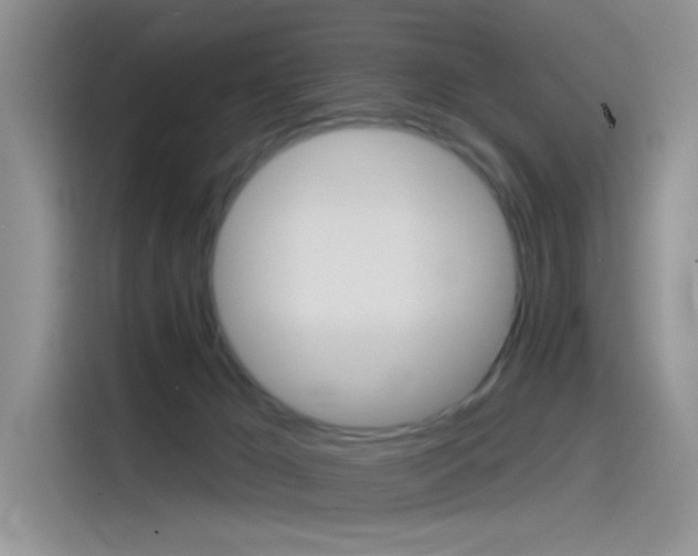 X0000115790029200911131035