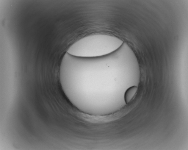 X0000115790034200911131035