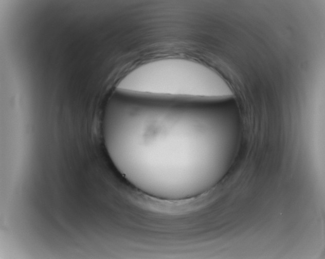 X0000115790035200911131035