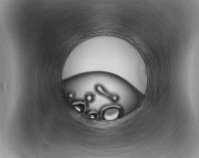 X0000115790037200911131035