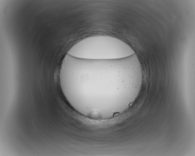 X0000115790038200911131035