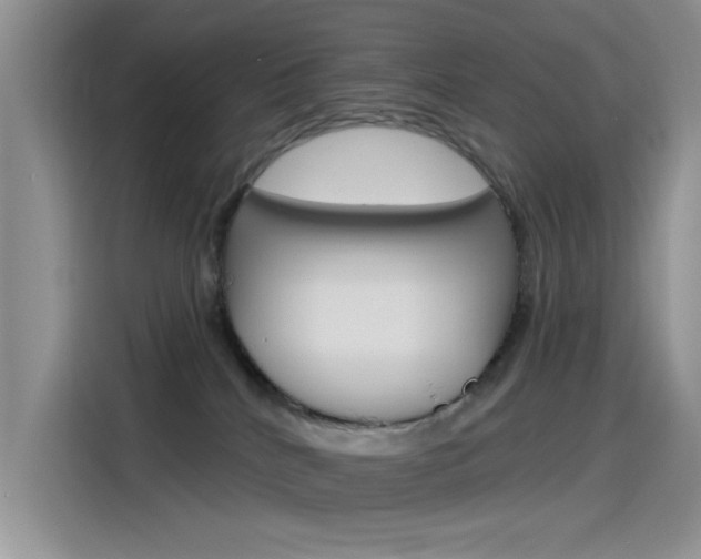 X0000115790040200911131035