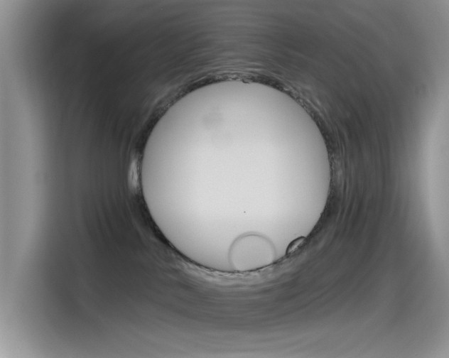 X0000115790042200911131035