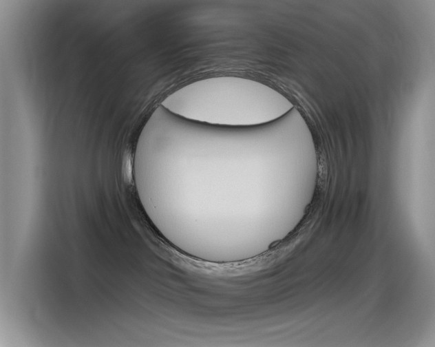 X0000115790046200911131035