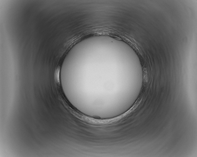X0000115790047200911131035