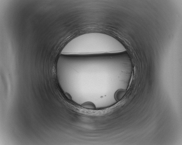 X0000115790048200911131035